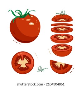 Red tomato whole and cut into pieces. Vector illustration in hand-drawn style on a white background