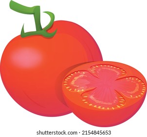 Red tomato with whole and half tomatoes isolated on white background vector illustration