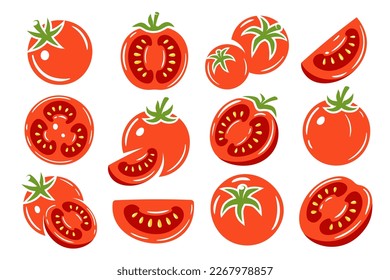 Red tomatoes collection isolated on white background. Vector illustration