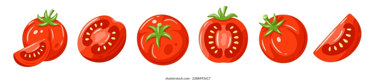 Colección de tomates rojos aislada en un fondo blanco. Ilustración del vector