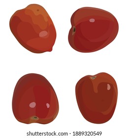 Vector De Ilustración De Frutas De Tomate Rojo Tomado Varios Ángulos Aislados En Fondo Blanco Bueno Para Usar Para Revista De Comida, Folleto E Ingredientes