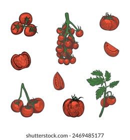 Red tomatoes line drawing illustration set isolated on white background.