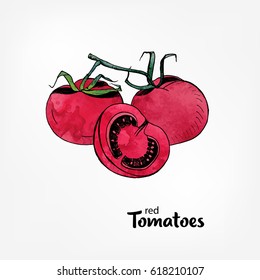 Red tomatoes on a branch. Whole and part in a cut. hand drawn illustration with watercolor texture.

