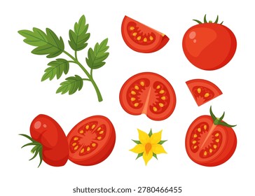 Red tomatoes set, fresh green green leaves, slices, yellow flower blossom. Hand drawn flat style isolated. For stickers, menu, poster, food packaging, recipe blogs, grocery branding, kitchen decor