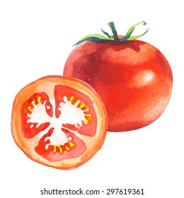 Red tomatoes. Vector illustration with vegetable. Provencal style. Recent watercolor paintings of organic food.