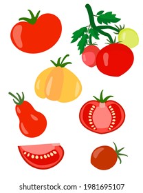 conjunto vectorial de tomates rojos. comida vegana. 