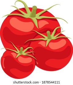 Tomatos rojos, ilustración, vector sobre fondo blanco