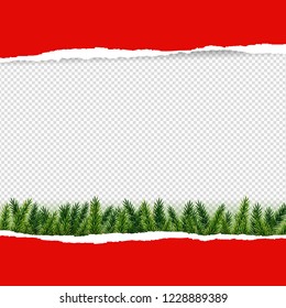Red Torn Paper With Firtree, Vector Illustration