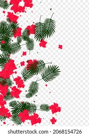 Red Tree Background Transparent Vector. Strelitzia Bright Texture. Light Green Philodendron. Forest Card. Green Safari Frame.