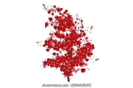 Red tree cherry blossom background pattern, spring time red sakura blossom.