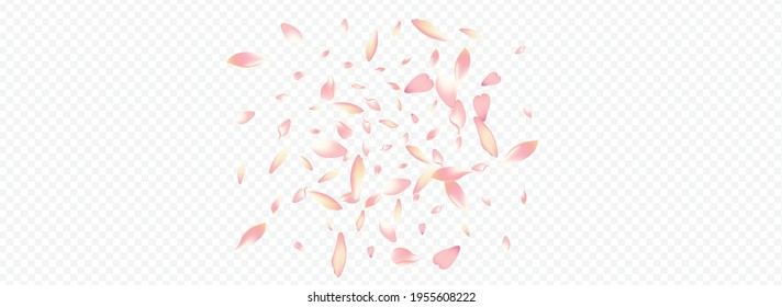 Red Tree Vector Panoramic Transparent Background. Bloom Feminine Card. Blooming Dream Poster. Rosa Air Template. Color Rose Overlay Illustration.