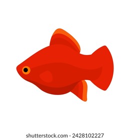 Red tropical fish. Aquarium fish. Flat style vector illustration.