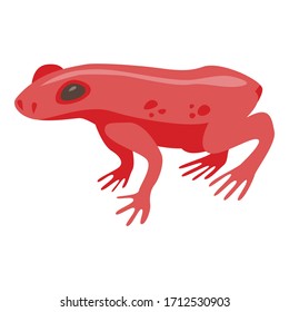 Icono de rana tropical roja. Isométrico del vectorial de rana tropical roja para el diseño web aislado en fondo blanco