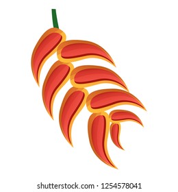 Red tropical leaf icon. Cartoon of red tropical leaf vector icon for web design isolated on white background