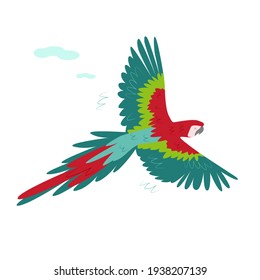 The red tropical macaw spread its wide wings in flight. Tropical parrots. Vector on a white background