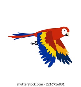 Red tropical parrot flapping wings vector illustration. Bird spreading wings, movements of wings. Red ara flying in sky isolated on white background. Animal, motion concept