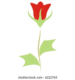 Red tulip