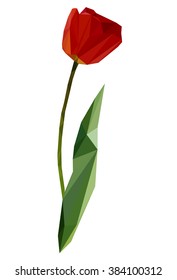 red tulip the art, vector polygonal art