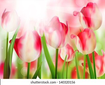 Red tulip with bokeh. And also includes EPS 10 vector