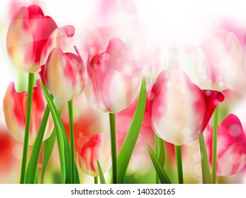 Red tulip with bokeh. And also includes EPS 10 vector