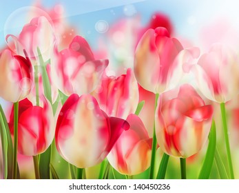 Red tulip with bokeh. And also includes EPS 10 vector