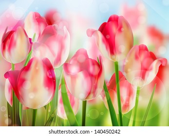 Red tulip with bokeh. And also includes EPS 10 vector