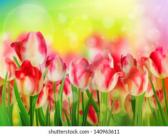 Red tulip with bokeh. And also includes EPS 10 vector