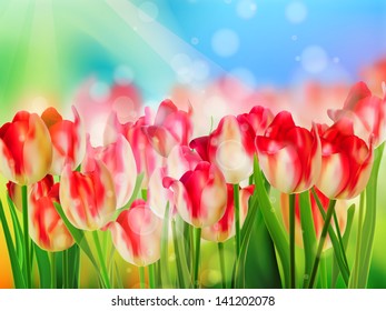 Red tulip with bokeh. And also includes EPS 10 vector