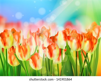 Red tulip with bokeh. And also includes EPS 10 vector