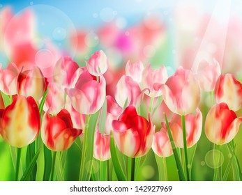 Red tulip with bokeh. And also includes EPS 10 vector