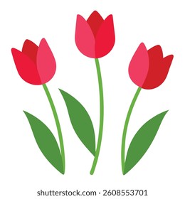 Red Tulip floral Vector illustration	