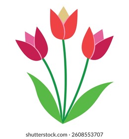 Red Tulip floral Vector illustration	