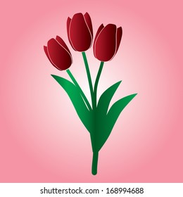 red tulip flower eps10
