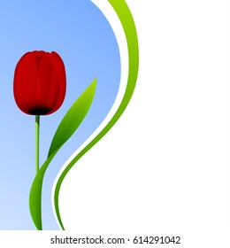 Red tulip flower on blue sky background. Vector card for birthday, easter, mothers day, valentines day, womens day greetings