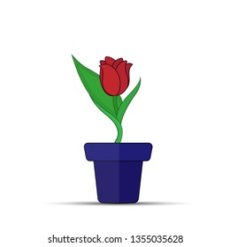 Red Tulip flower in flower pot, flat design