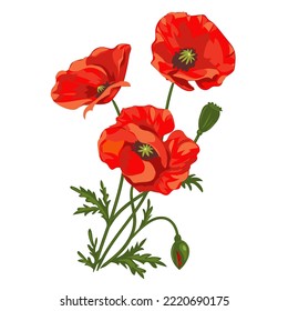 RED TULIP FLOWER VECTOR GRAPHICS