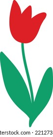 Red tulip flower. Vector illustration