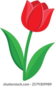 Red Tulip Flower Vector Illustration Design