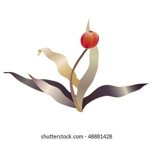 red tulip flower vector sketch