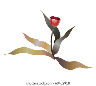 red tulip flower vector sketch