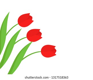 Red tulip flowers background. Vector illustration.