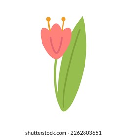 Red tulip on a green stem with leaves isolated on a white background. Template for greeting cards, banners for Valentine's Day, March 8, Birthday, wedding. Vector illustration. Cartoon style