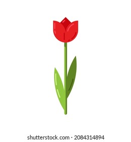 Red tulip on an isolated white background. Flower in flat design. Element for postcard, banner, flyer. Vector stock illustration