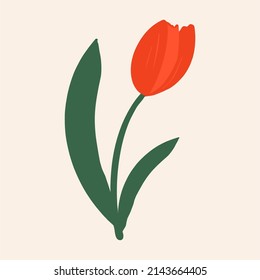 Red tulip on a white background. Flat design, hand drawn cartoon, vector illustration.