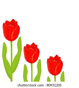 red tulip spring card