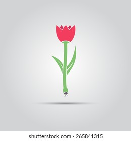 red tulip as a symbol of spring vector isolated sign