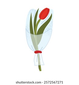 Red tulip in a transparent wrapping with a decorative tie. Perfect for minimalistic designs, romantic gestures, and spring themes. Flat vector illustration isolated on white background