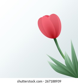 Red tulip. Vector illustration