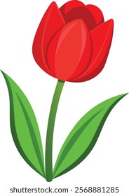 Red Tulip Vector Illustration for Graphic Projects