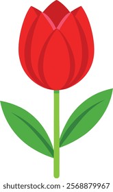 Red Tulip Vector Illustration for Nature Lovers